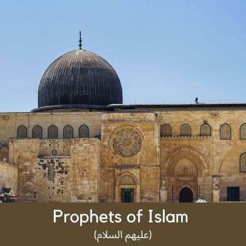 Prophets of Islam (عليهم السلام)