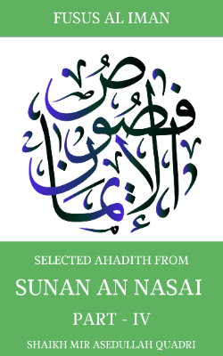 Sunan An Nasai