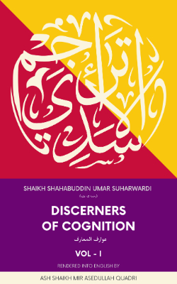 Discerners of Cognition Volume 1