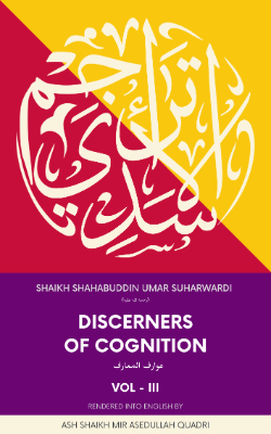 Discerners of Cognition Volume 3